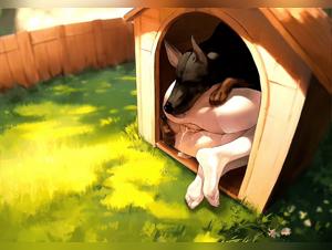 Animal scams: Incarnate fantasies