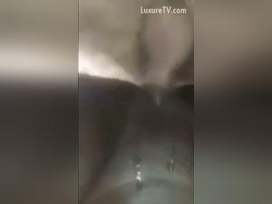 Animal sensation: hardcore fuck with black dog