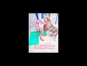 Animal sex on Onlyzoo: the best videos for dog sex lovers