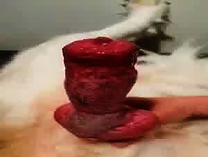 Animal sexzoo porn for women, dog fuck for girls