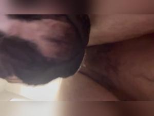 animal suffering, prohibited delights