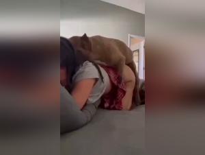 animal suffering, prohibited pleasure and nodo extremo