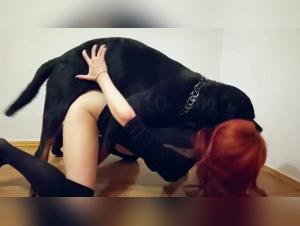 Animal unleashing: its beauty, its disgust