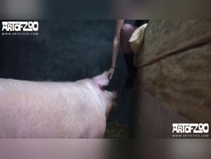 Animal Zoo Porn Video Extracted from Boar JAdore