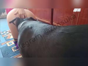 Animalized Obscenity