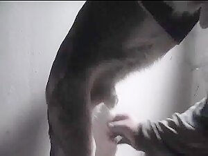 Animals and Men: A Forbidden Encounter