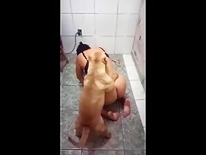 Animated Bestiality: Slutty Woman and Her Dog Fuck with Pitbull