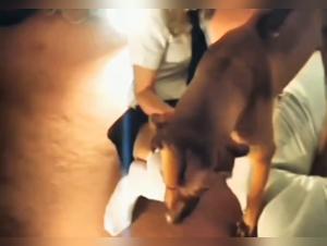 Anitaknine: Where uncontrollable desire meets bestiality