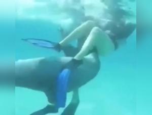 Aquatic bestiality: Dolphin and girl domination