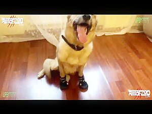 Artofzoo Bitchcraft by Duna: An Exciting Bestial Experience