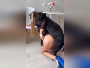 Artofzoo: Cindy, brutal animal desire