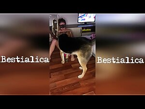 Artofzoo videos zooporno: fuck with the sexy dog