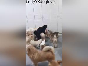 Asian Bestial Delights: Surrender to animal desire