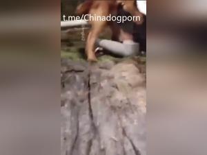 Asian bestialia - Animal desire