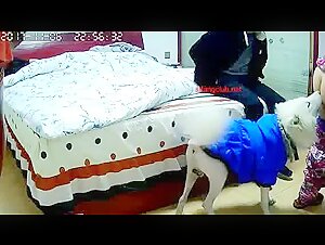 Asian Couple and Dog: A bestial and intense encounter