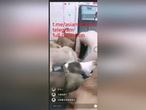 Asian debauchery, wild feline submission