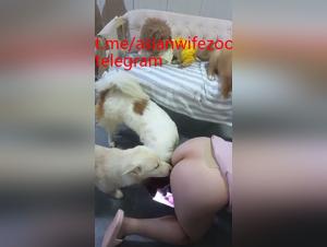 Asian Dog Group Sex: the abysse of canine perversion