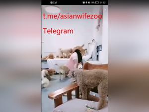 Asian zoophilic fetish: canine domination