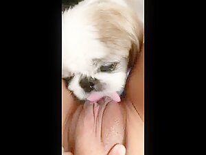 Ask me for the full video if you want to buy it