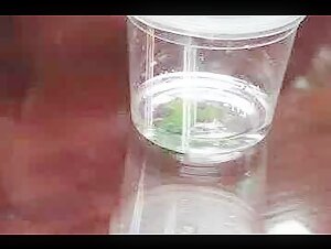 Athena and her canine accomplice