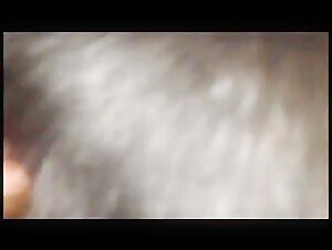 Attempt to seduce a dog