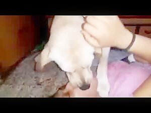 Bangladeshi Girl and Her Canine Companion