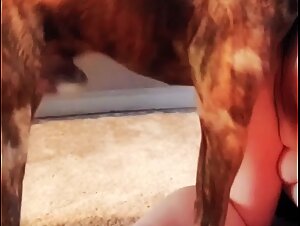 BBW Amateur Zoophilia Part 3