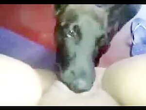 BBW and her four-legged friend