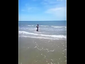 Beast Kingdom: Unconventional Delights