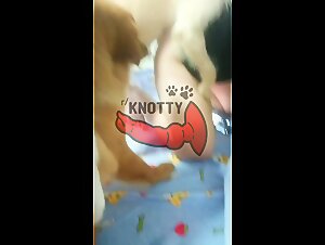 Beastiality - Animal Porn Sexy Girl Fucks With Dog