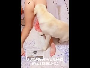 Beastiality hentai video free