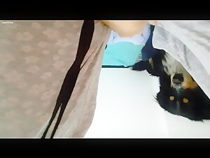 Beautiful animal pussy