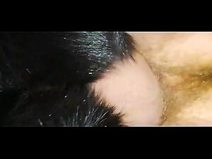 Beautiful woman gets fucked by a dog