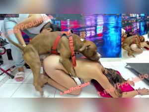 BenjiProd: The Paradise of Unbridled Animal Love