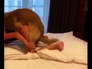 Best Bestiality Sex Videos Online