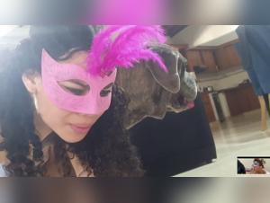 Best Bestiality Sites Online