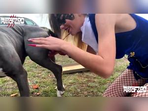 Best XXX Bestiality Sites