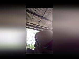 Bestial African desire