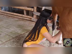 Bestial connection, put up intense equine