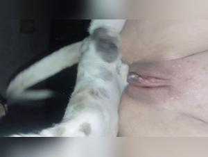 Bestial debauchery: Hardcore and wild scenes