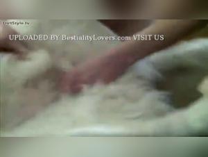 Bestial Decadences: The Abyss of Animal Desire