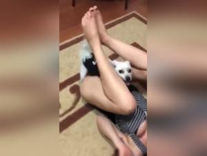 Bestial delight: passion canine without limits