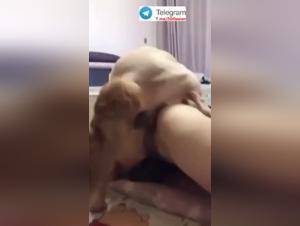 Bestial Delights: A Chinese Woman Serving the Dog