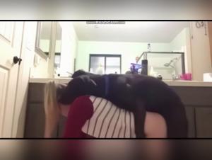 Bestial Delights: A Sensual Journey with Mike Candys