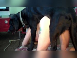 Bestial delights: a wife devoted to her dog