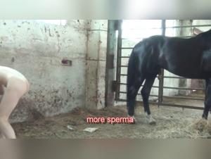 Bestial Delights: Animal Series 5 - Labasite without limits