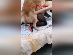 Bestial Delights: BBW Chinese and Doggy Hardcore