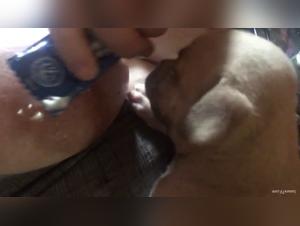 Bestial Delights: Big Tits and Merciless Licking