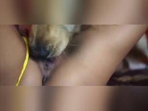 Bestial delights: canine domination and vulnerable flesh