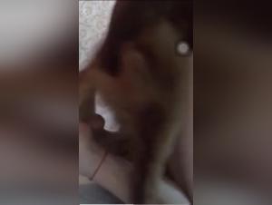 Bestial Delights: Canine Obsession and Crazy Desire